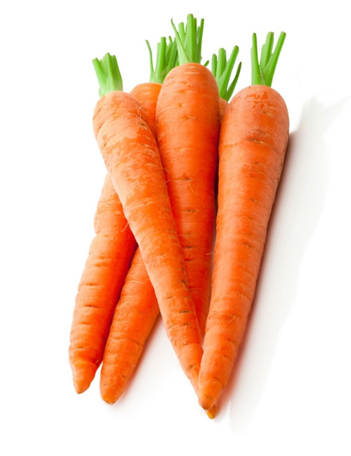 zanahoria chantenay master bonita mas semillas